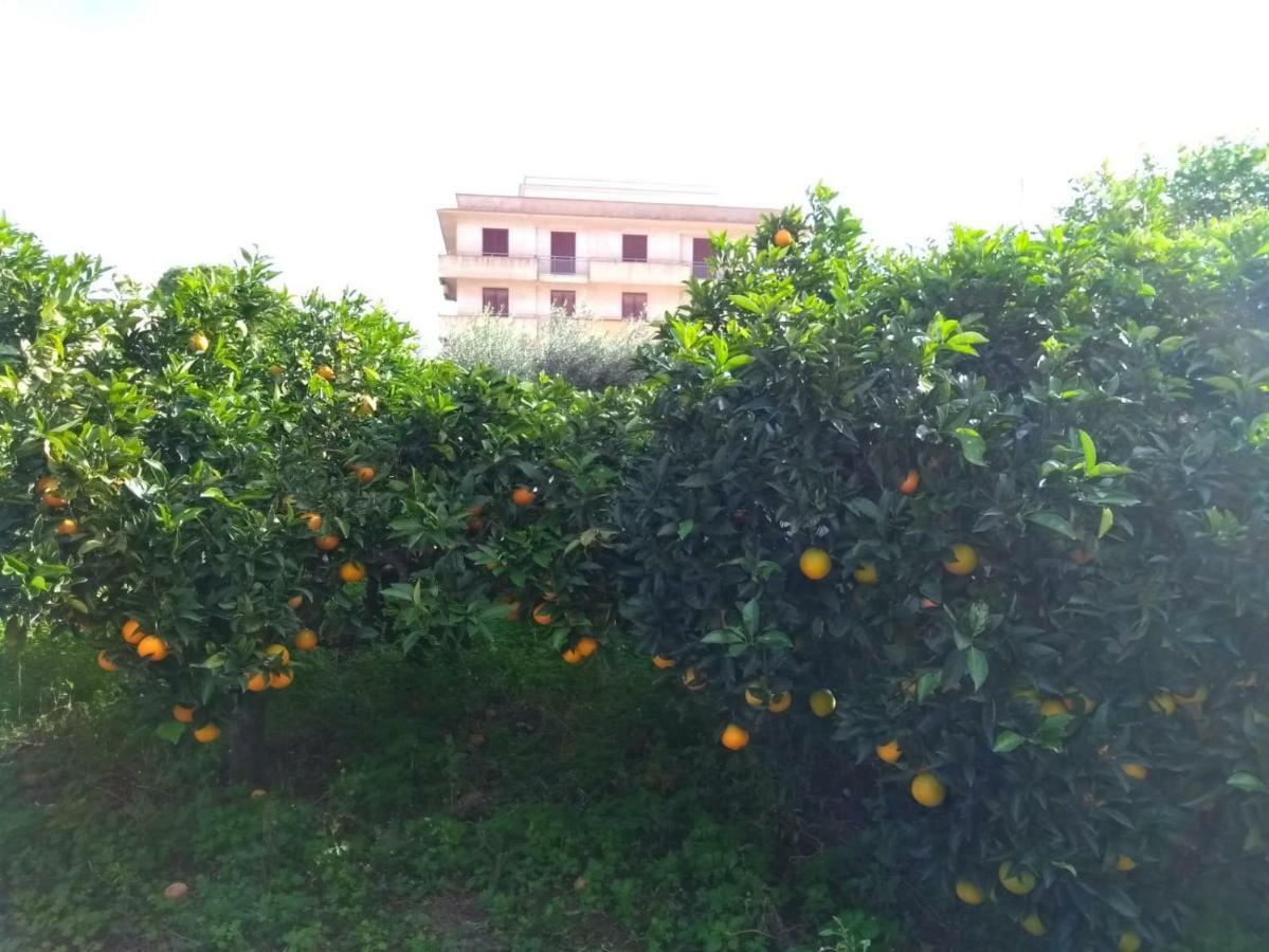 Appartamento Via Vulcano Трапани Екстериор снимка